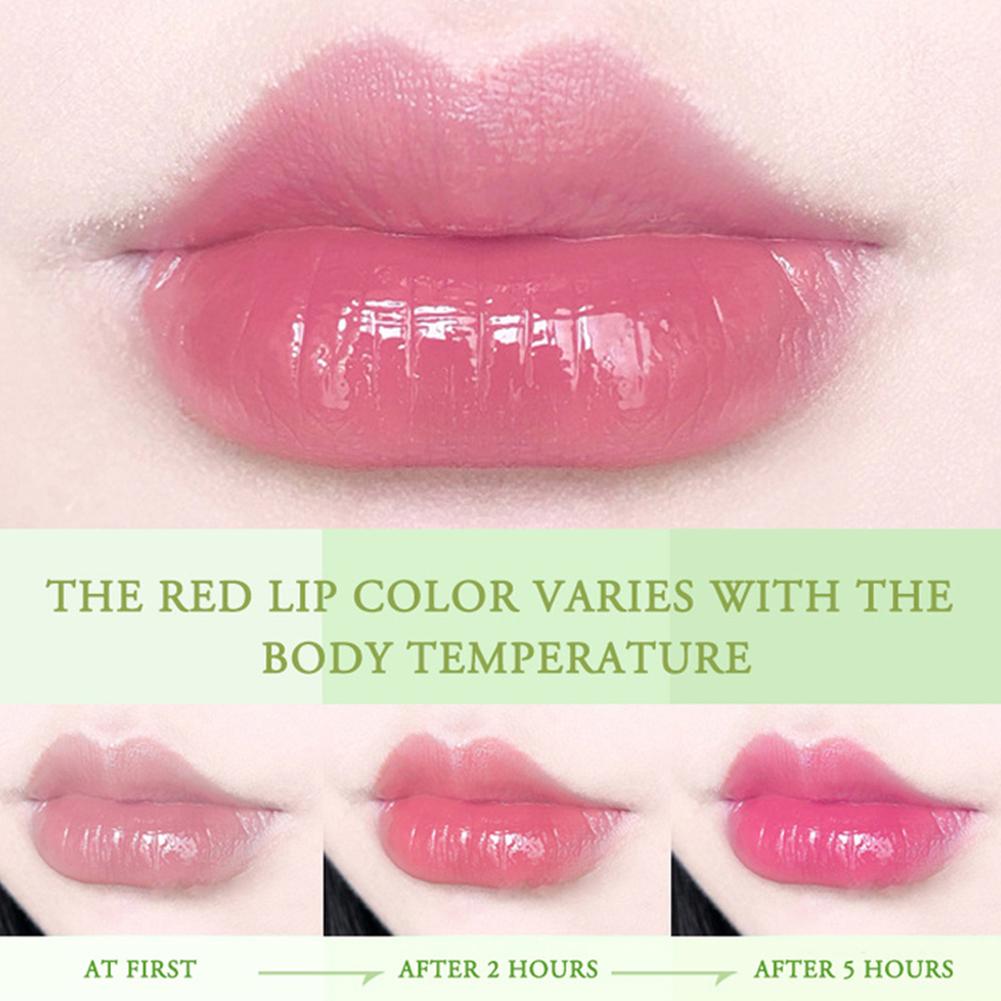 Aloe Vera Discolored Lip Balm/Lip Tint Magic Color Changing Lipstick Moisturizing Lasting Nourishing Lip Gloss Lip Makeup Care