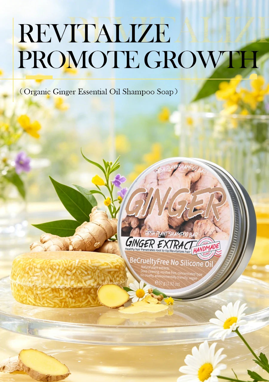 JIJIBA OIL Ginger Essential Soap Solid Shampoo Soap Oil Control Refreshing Shampoo Cleansing Moisturizing Handmade Soap