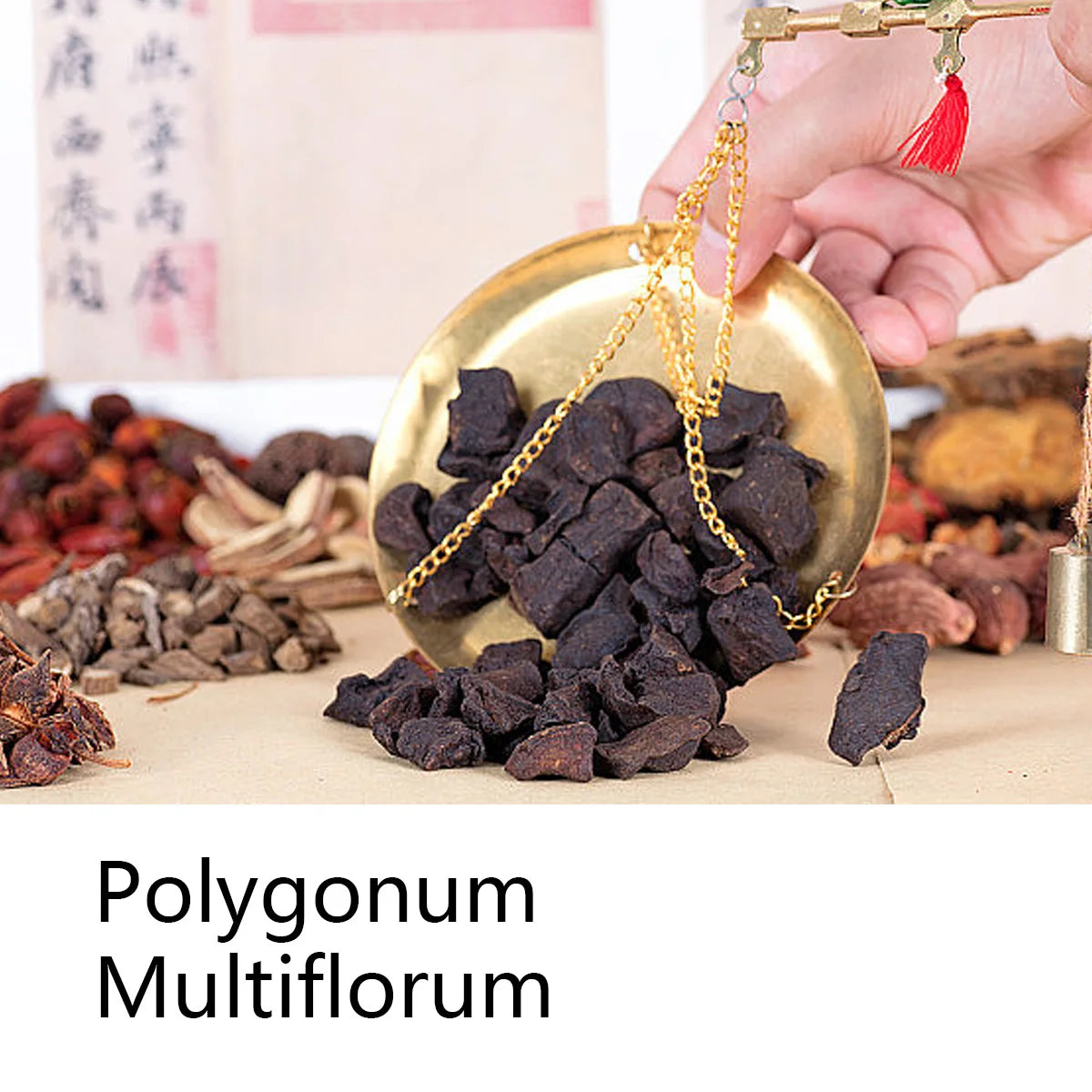 Polygonum Multiflorum Herbal Shampoo Soap Bar, Plant Hair Care Essential Oil Soap, Dark Nourishing Shampoo Soap, Deep Cleansing
