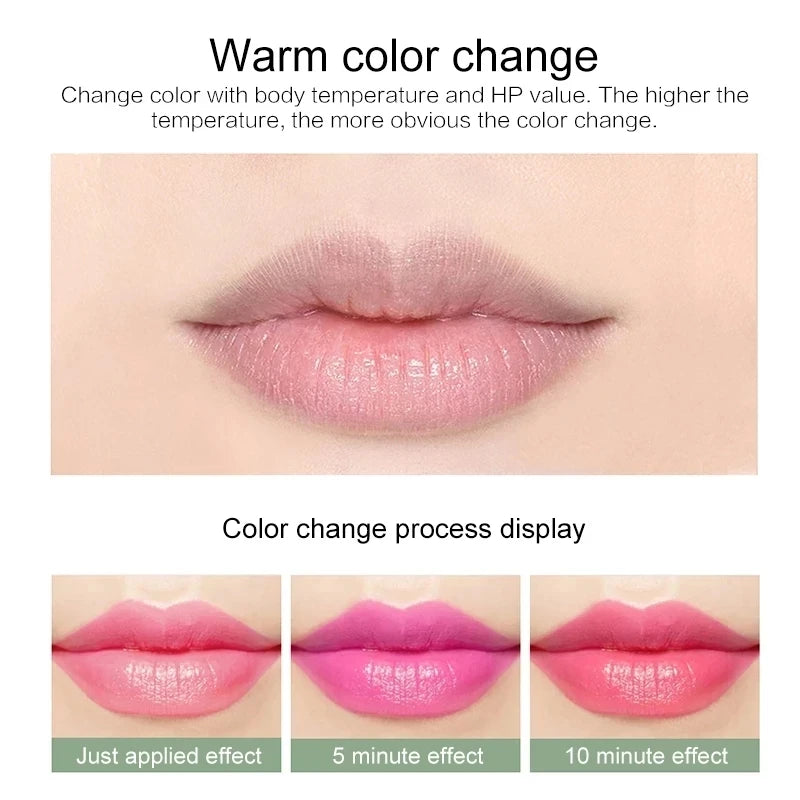 12pc/SET 3.5g Color Changing Tinted Lip Balm Lipstick Aloe Vera Lipstick Moisturizing Long Lasting Lipsticks lip balm