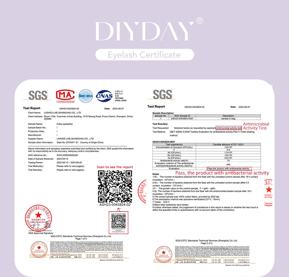 DIYDAY W Shape Eyelash Extension 3d 4d 5d 6d 7d 8d W-Shaped Eyelashes Premade Fans Individual BASF Mink Faux Lashes