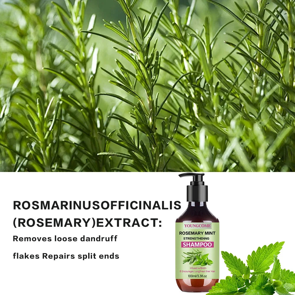 YOUNGCOME ROSEMARY MINT STRENGTHENNG SHAMPOO