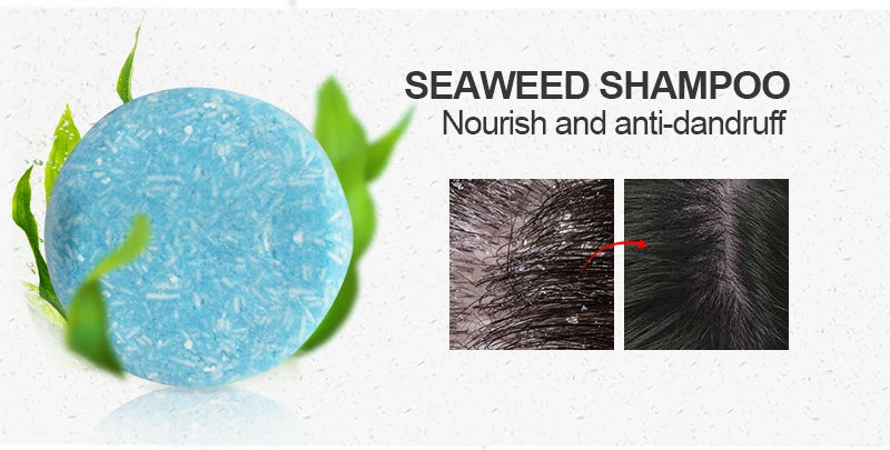 PURC Hair Shampoo Bar Ginger Polygonum Cold Processed Soap Smoothing Cleaning Anti Dandruff Soap Bar Soft Hair Care