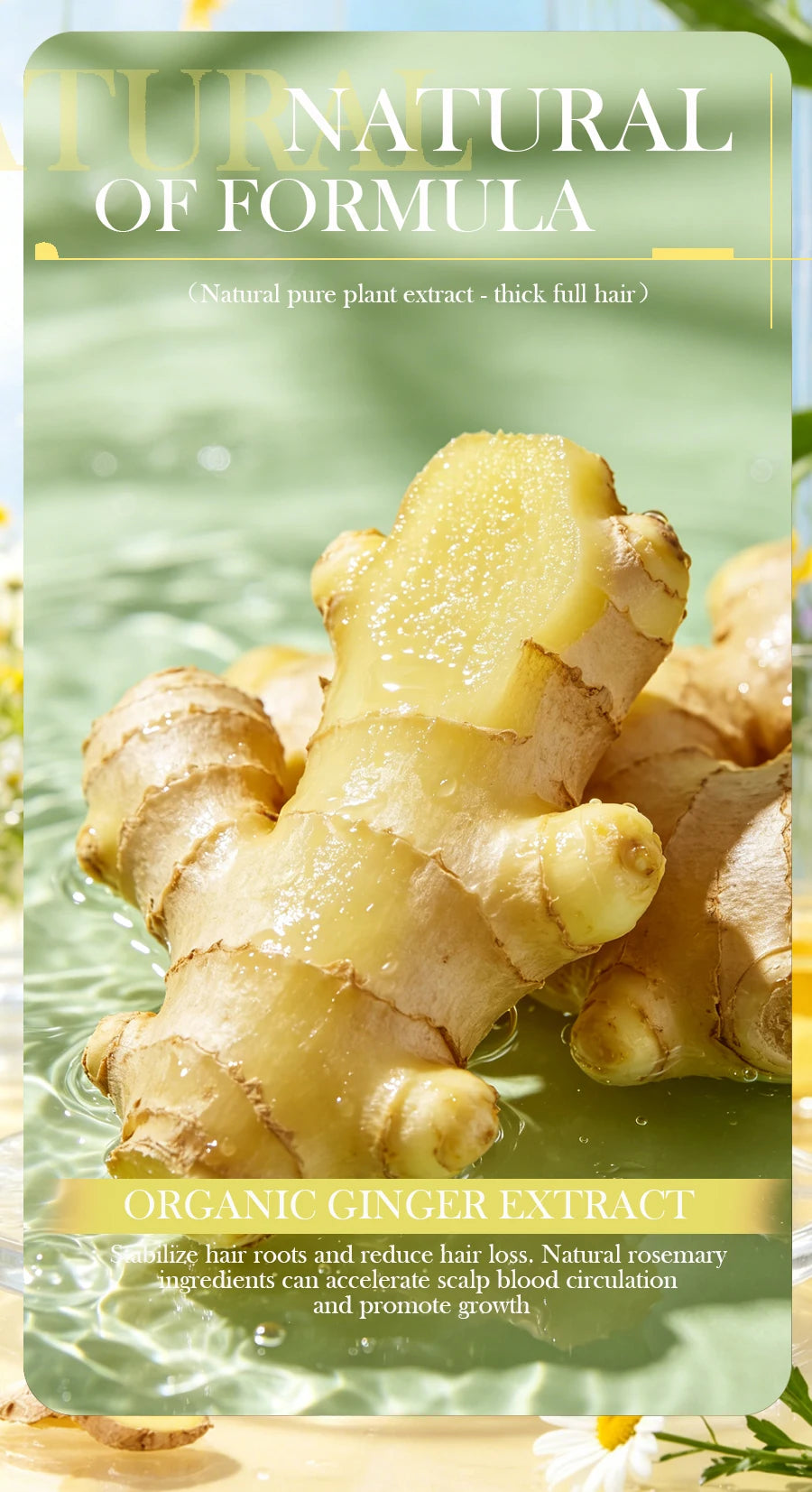 JIJIBA OIL Ginger Essential Soap Solid Shampoo Soap Oil Control Refreshing Shampoo Cleansing Moisturizing Handmade Soap