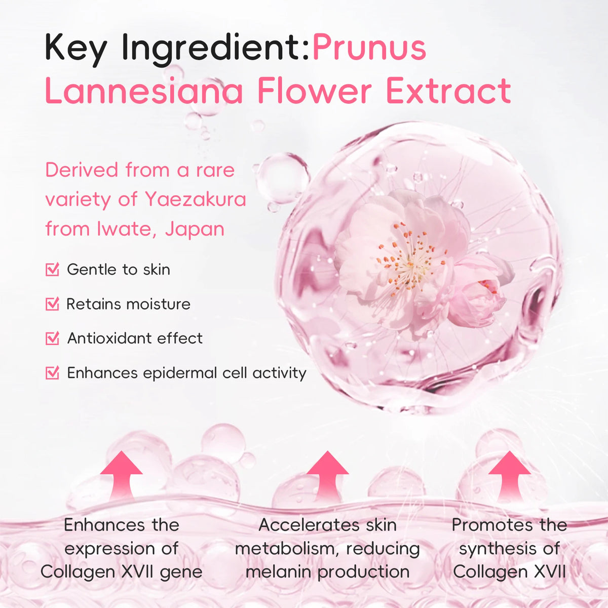 LAIKOU Sakura Day Night Face Cream Nourishing & Brightening Moisturizer Anti-aging Smooth Skin 30g