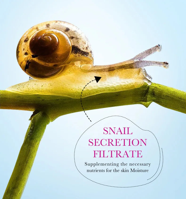SADOER Snail Collagen Face Cream Gel Firming Repair Whitenting Moisturizing Facial Creams Beauty Face Skin Care