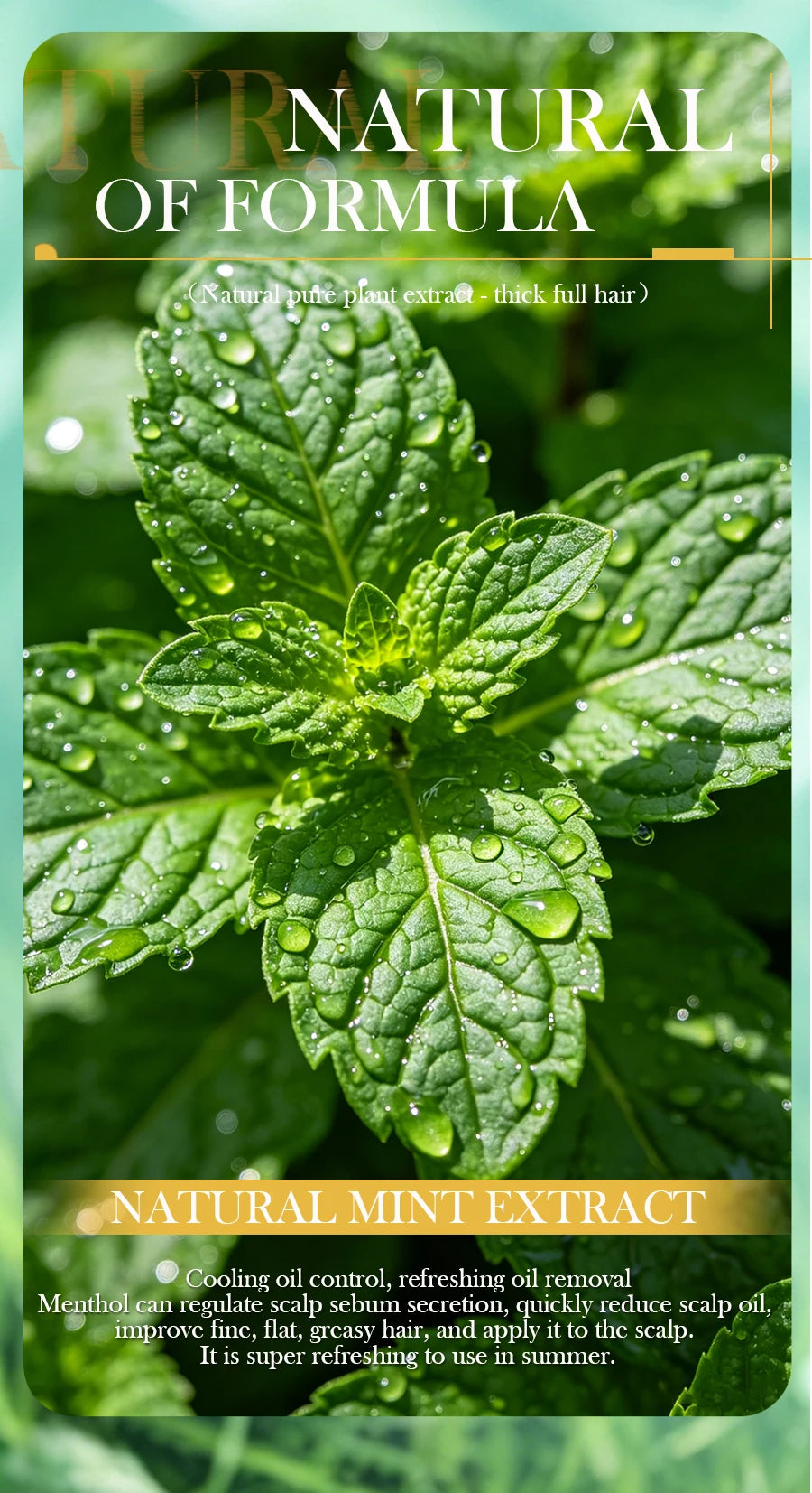 60g Mint Herbal Shampoo Plant-Based Soap for Oil Control Dandruff Hand Soap Genuine Herbal Product for Scalp Care