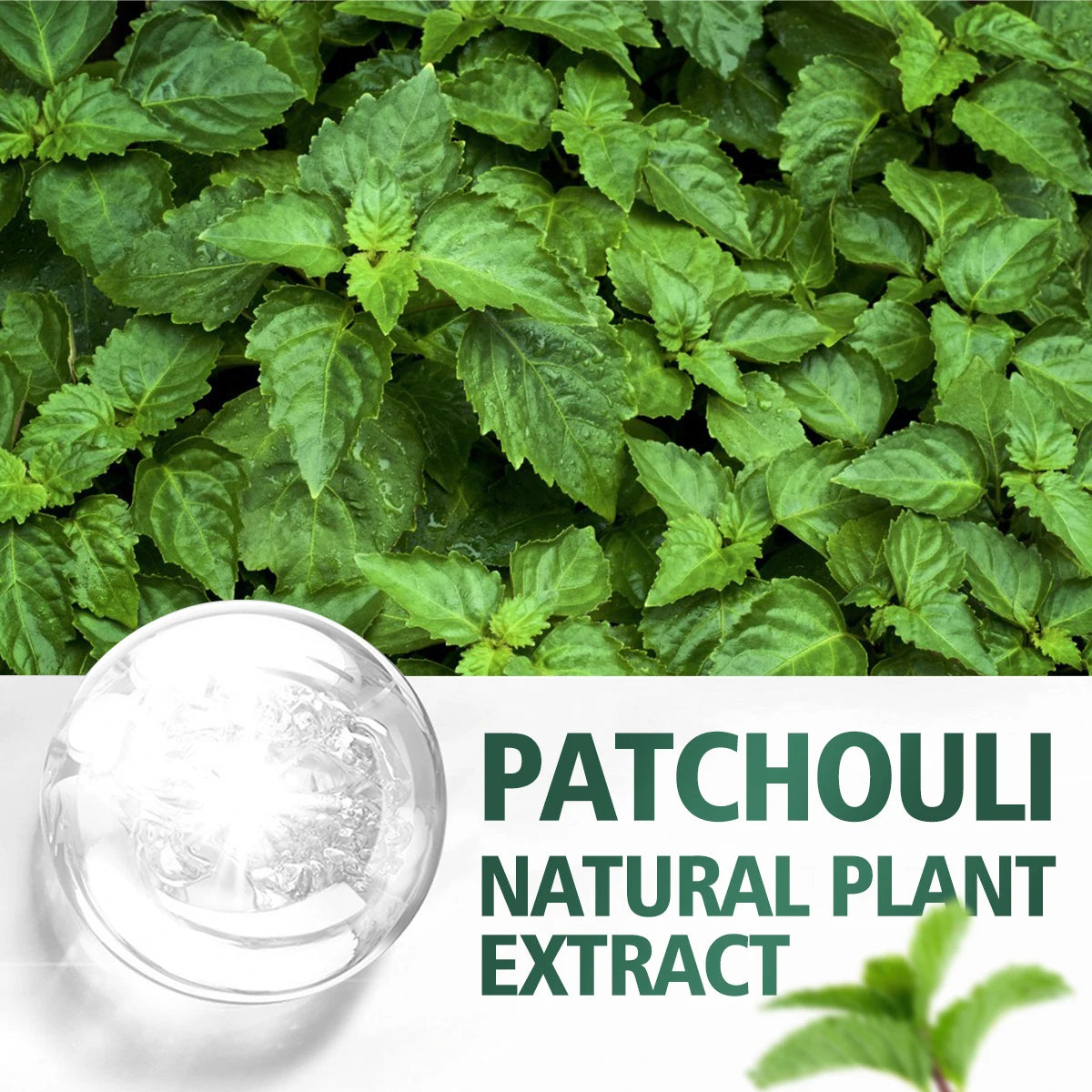 100ml/60ml/30ml Patchouli Essential Oil Hydrating Moisturizing Skin Care Skin Care Body Care Fragrance Perfume Essential Oil