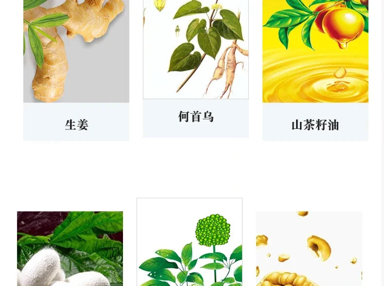 1pc  Ginger shampoo Herbal Non Allergic Natural Fast Blacking Gray Hair Dye Black Shampoo  For White  Coloring 500ml