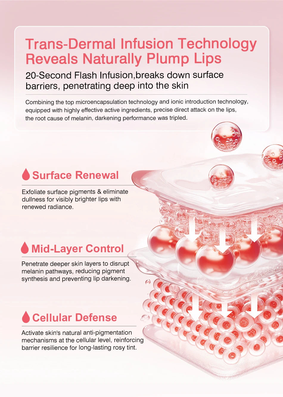 SOBER SKIN Natural Rose Lip Care Rose Scrub Lip Balm Lighten Dark Lip Color Brighten Roma Pink Lip