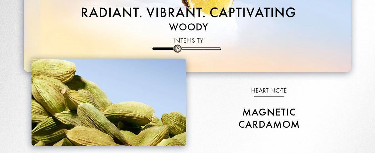 Azzaro Wanted Eau De Toilette - Vibrant & Irresistible Mens Cologne - Woody, Vetiver - Everyday Wear - Luxury Perfumes for Men