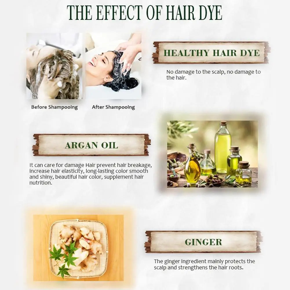 3-in-1 Collagen Argan Oil Shampoo Long-Lasting Black Hair Dye Shampoo for Men Women Nourishes Colors Gray Hair, 400ml Formula