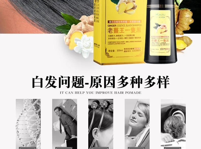 1pc  Ginger shampoo Herbal Non Allergic Natural Fast Blacking Gray Hair Dye Black Shampoo  For White  Coloring 500ml